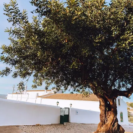 Cerca Velha - Дом отдыха