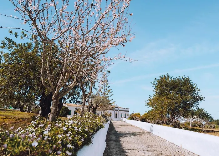 Casa de Férias Cerca Velha - *